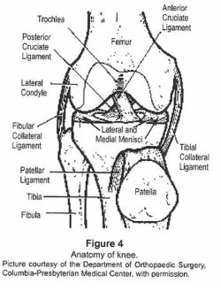 Anterior Knee Pain - Corporate